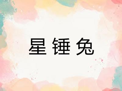 星锤兔
