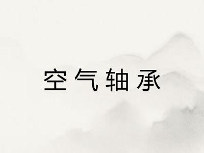 空气轴承