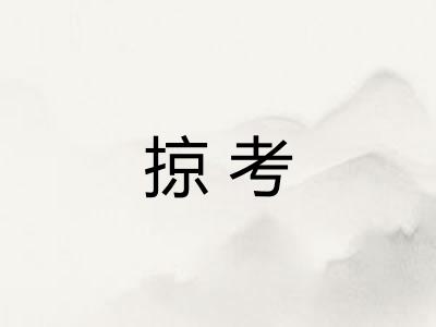 掠考