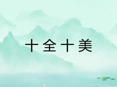 十全十美
