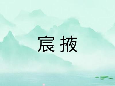 宸掖