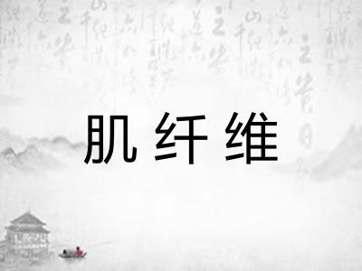 肌纤维