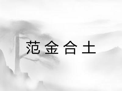 范金合土