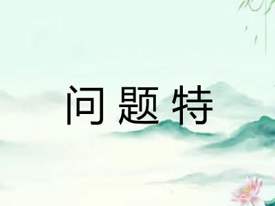 问题特