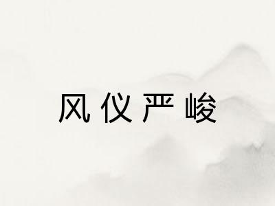 风仪严峻
