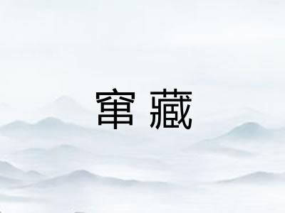 窜藏