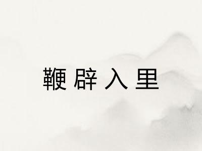 鞭辟入里