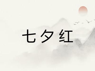 七夕红