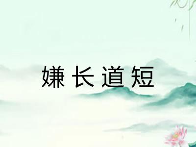 嫌长道短