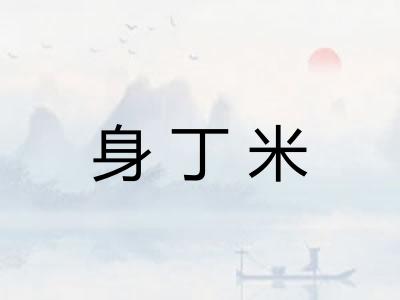 身丁米