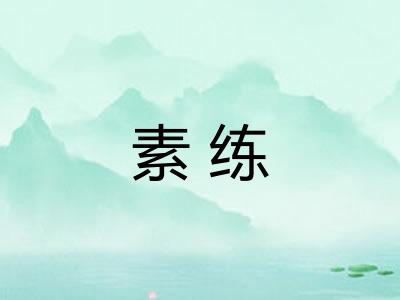 素练