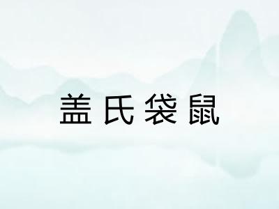 盖氏袋鼠