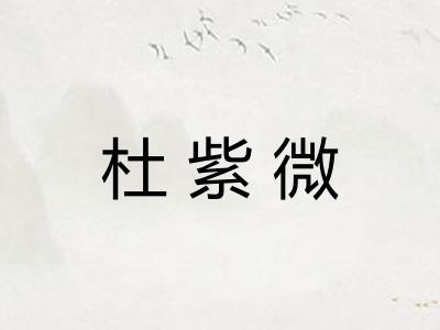 杜紫微