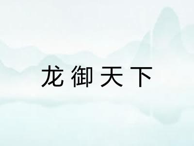 龙御天下