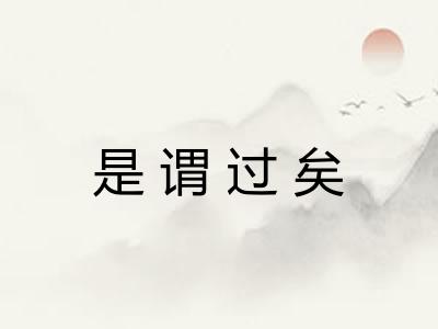 是谓过矣