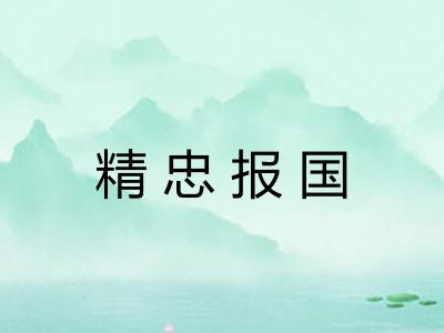精忠报国