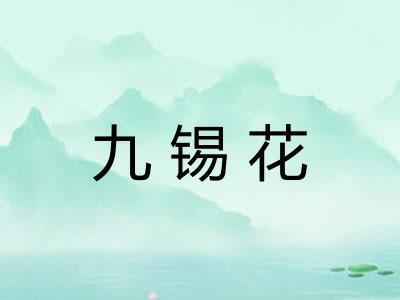 九锡花