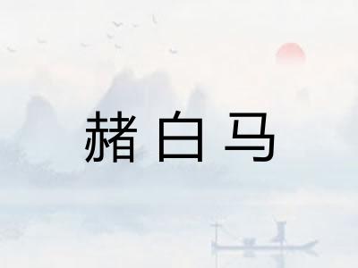 赭白马
