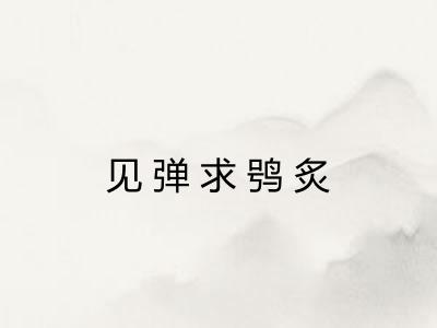 见弹求鸮炙