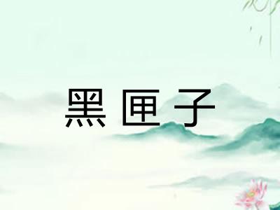 黑匣子