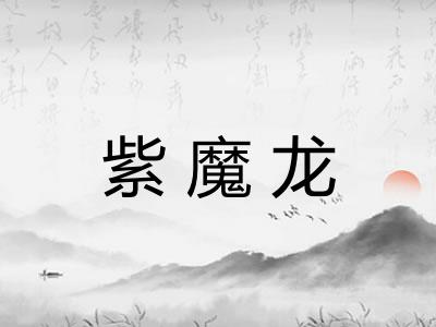 紫魔龙