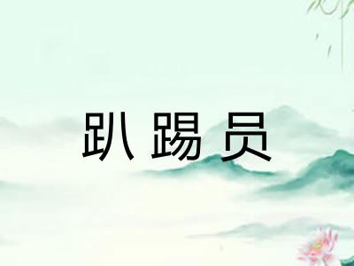 趴踢员