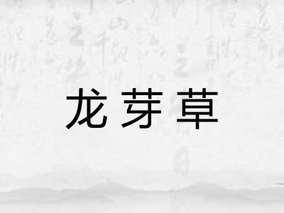 龙芽草