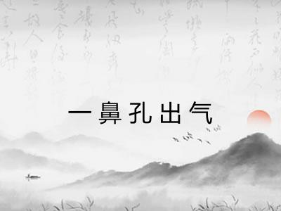 一鼻孔出气