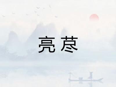 亮荩