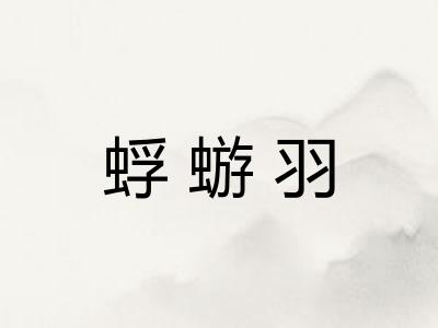 蜉蝣羽