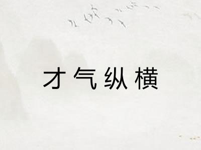 才气纵横