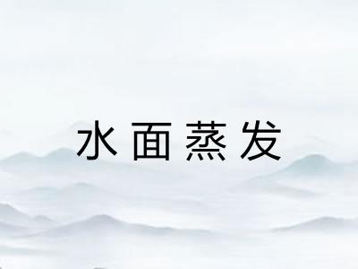 水面蒸发