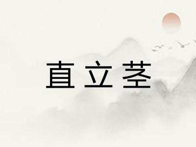 直立茎