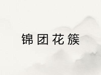 锦团花簇