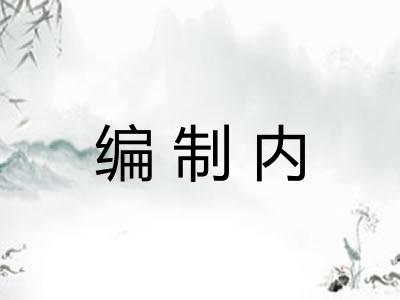 编制内