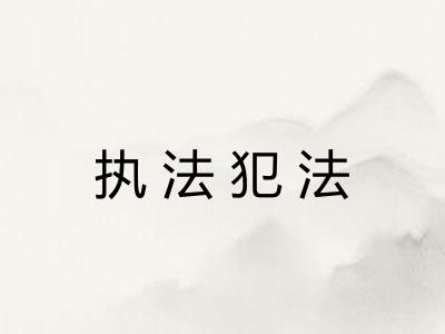 执法犯法