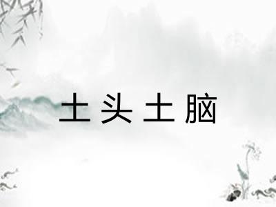 土头土脑