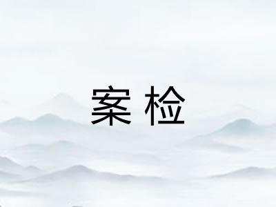 案检