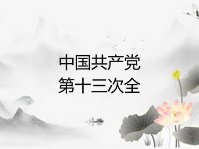 中国共产党第十三次全国代表大会