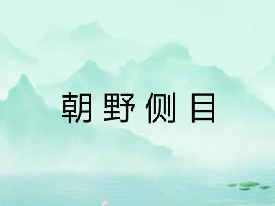 朝野侧目
