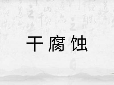 干腐蚀