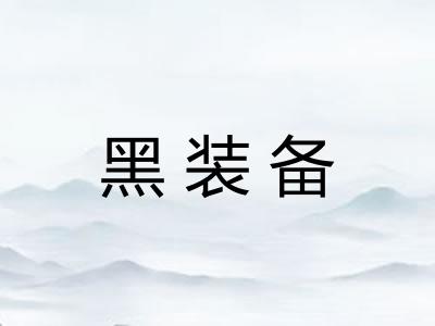 黑装备