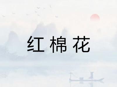 红棉花