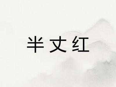 半丈红