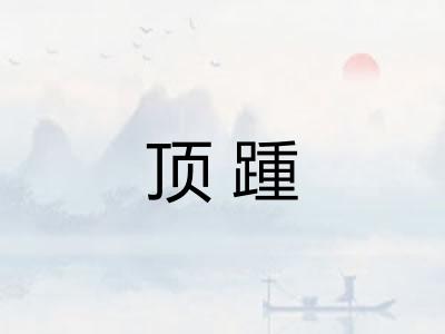 顶踵