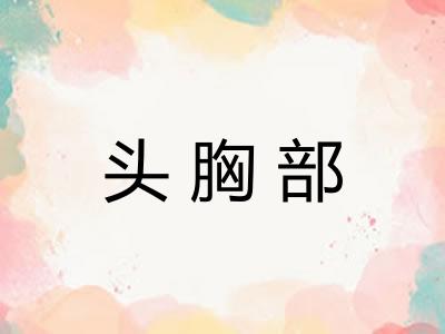 头胸部