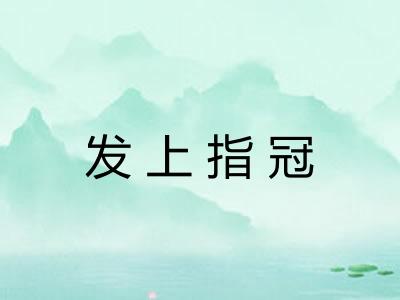 发上指冠
