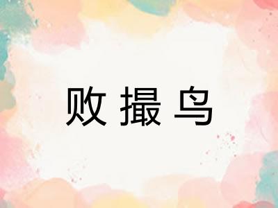 败撮鸟