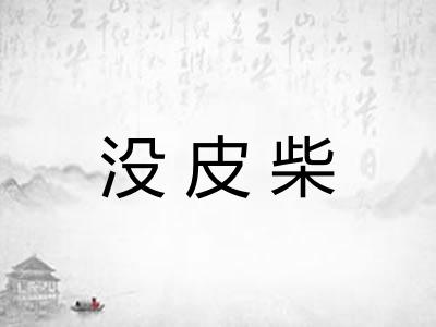 没皮柴
