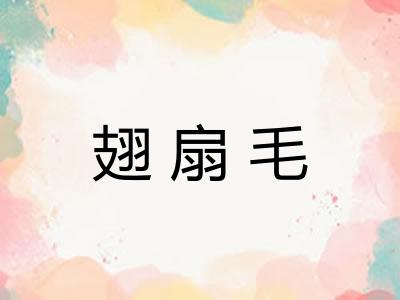 翅扇毛